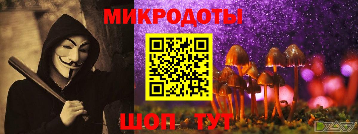 Галлюциногенные грибы Psilocybe  Вход с VPN  Егорьевск 